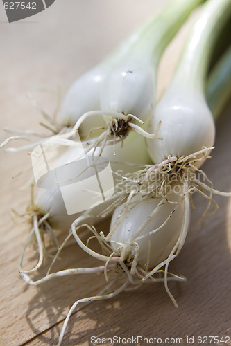 Image of A bunch of spring onions