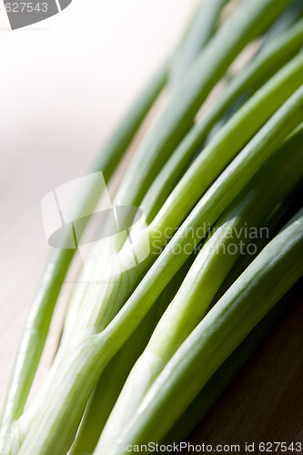 Image of A bunch of spring onions