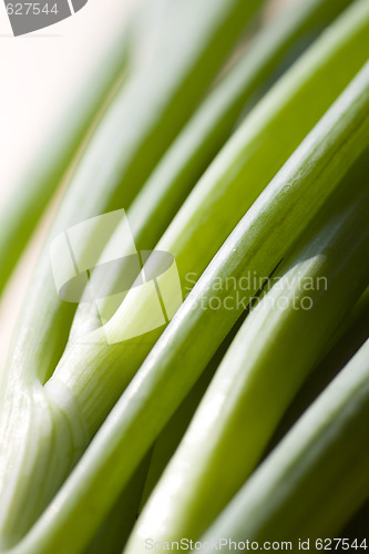 Image of A bunch of spring onions