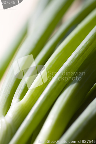 Image of A bunch of spring onions