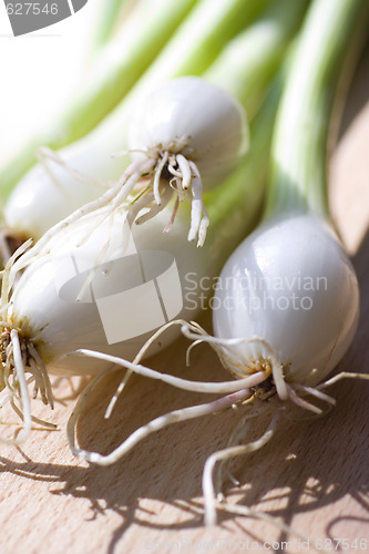 Image of A bunch of spring onions