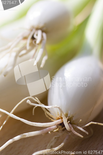 Image of A bunch of spring onions