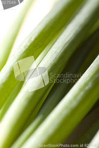 Image of A bunch of spring onions