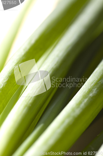 Image of A bunch of spring onions