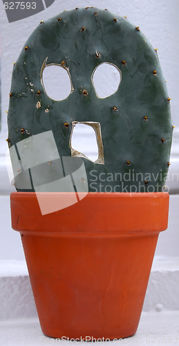 Image of Halloween cactus