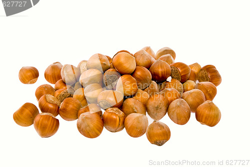 Image of Nut a filbert