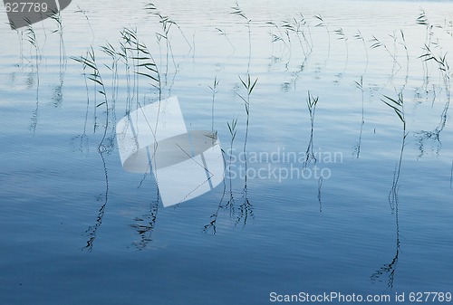 Image of Blue waters