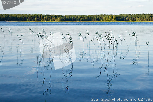 Image of Blue waters