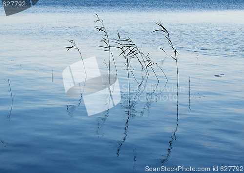 Image of Blue waters