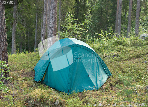 Image of Tent in a forest