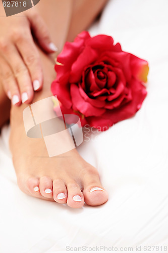 Image of beautiful feet and hands