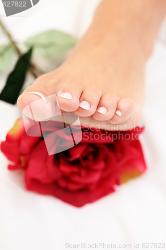 Image of beautiful foot