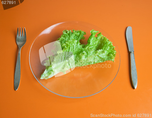 Image of Dieting