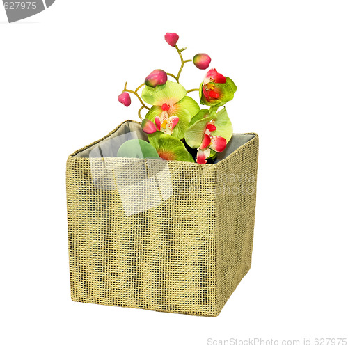 Image of Flower basket