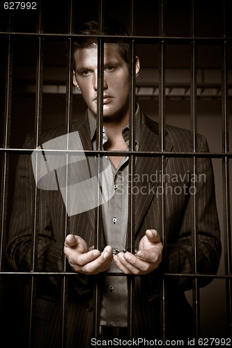 Image of Businessman in jail