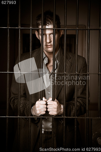 Image of Businessman in jail