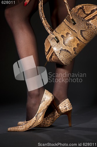 Image of snakeskin shoes and handbag