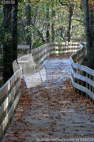 Image of Walkbord in Autumn