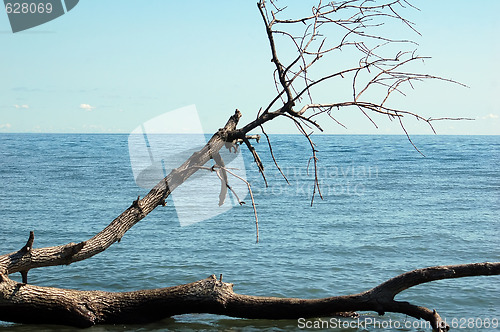 Image of By the lake