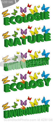 Image of ecology and environment