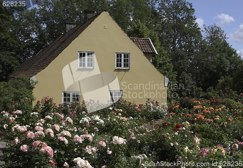 Image of Old house with rose garden