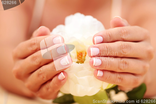 Image of beautiful female hands