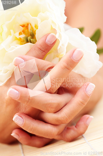 Image of beautiful female hands