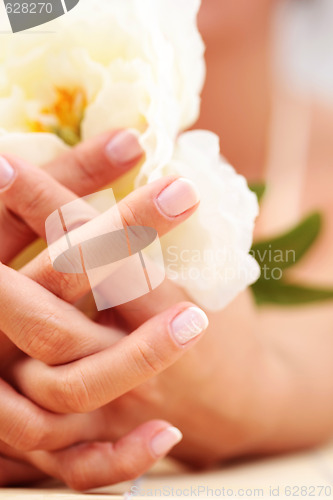 Image of beautiful female hands