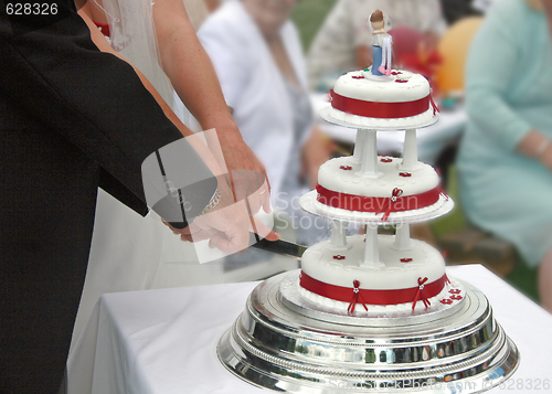 Image of Bride and Groom cutting the Wedding Cake.