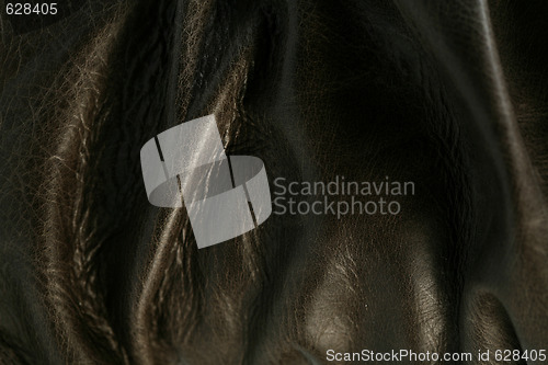 Image of Leather pattern