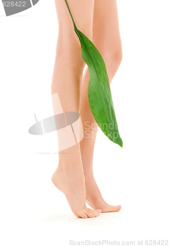 Image of female legs with green leaf
