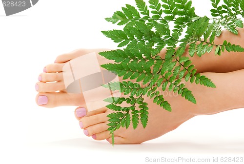 Image of female feet with green leaf