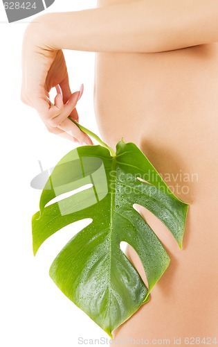 Image of female torso with green leaf over white