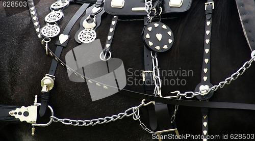 Image of Horse Accessories