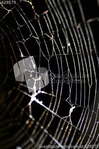 Image of Glowing Cobweb