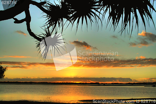 Image of Bent Tree Sunrise 