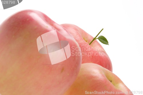 Image of Fruits, Rose Apple