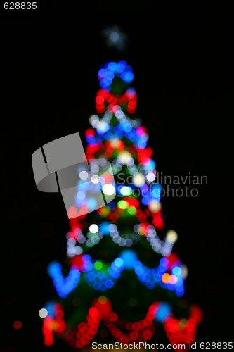 Image of noel fir