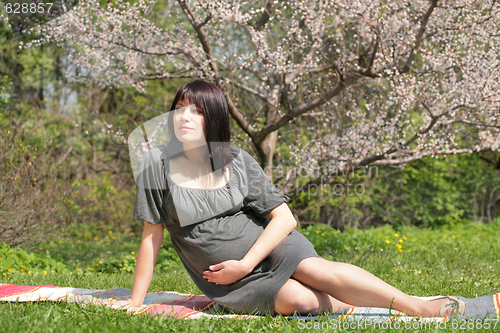 Image of pregnant woman under blossom apple tree