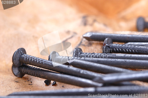 Image of Nail, Building Accessory