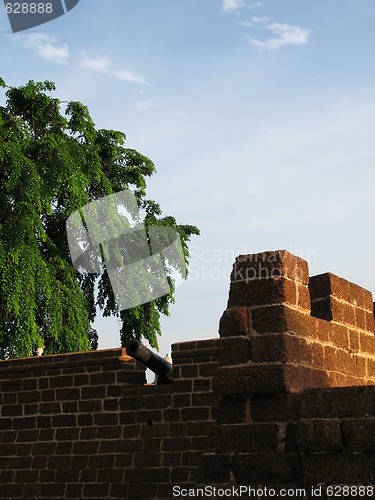 Image of Canon on fort