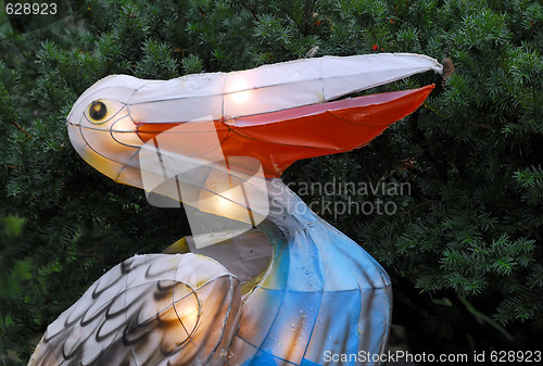 Image of Chinese lantern (Illuminated Pelican)