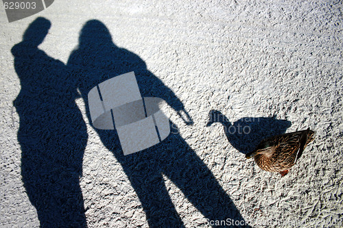 Image of Shadows