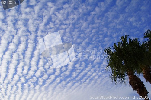 Image of Unusual Clouds And Tree