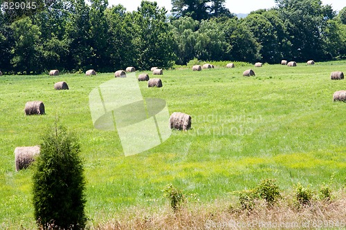 Image of Meadow with bales of hay