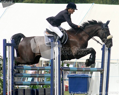 Image of Horse Jump