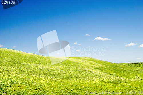 Image of summer landscape