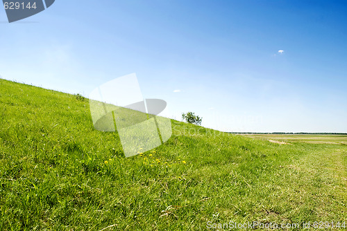 Image of summer landscape