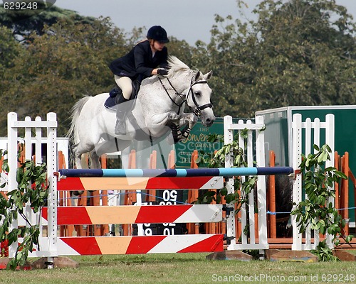 Image of Horse Jump