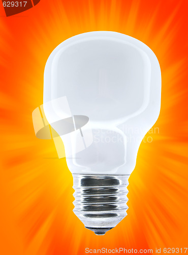 Image of White bulb